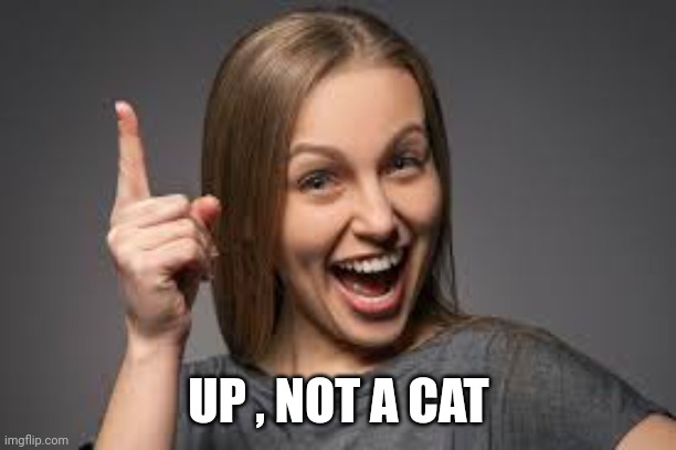 eureka face | UP , NOT A CAT | image tagged in eureka face | made w/ Imgflip meme maker