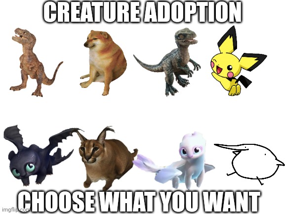 Want a pet | CREATURE ADOPTION; CHOOSE WHAT YOU WANT | image tagged in blank white template,pets | made w/ Imgflip meme maker