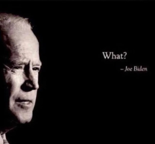 High Quality joe biden what Blank Meme Template