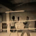 fortunate miss with spinning back fist :) | image tagged in gifs,sparring,martial arts,fight | made w/ Imgflip video-to-gif maker