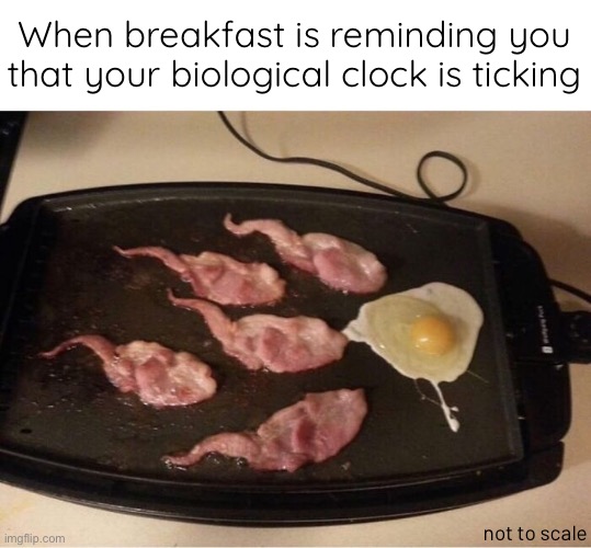 Tick-tock | When breakfast is reminding you that your biological clock is ticking; not to scale | image tagged in funny memes,biological clock | made w/ Imgflip meme maker