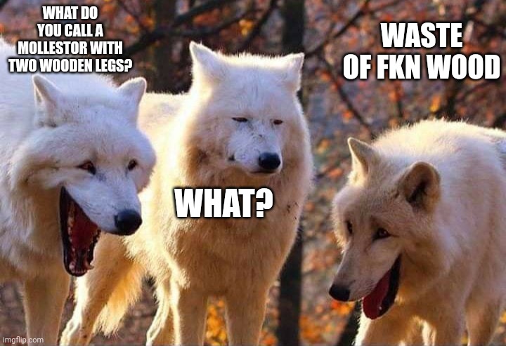 Laughing wolf | WHAT DO YOU CALL A MOLLESTOR WITH TWO WOODEN LEGS? WASTE OF FKN WOOD; WHAT? | image tagged in laughing wolf | made w/ Imgflip meme maker