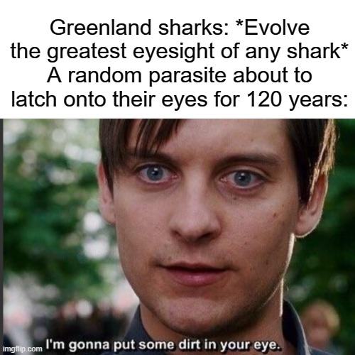 Greenland sharks have horrible lives | Greenland sharks: *Evolve the greatest eyesight of any shark*
A random parasite about to latch onto their eyes for 120 years: | image tagged in i'm gonna put some dirt in your eye | made w/ Imgflip meme maker