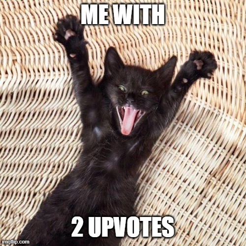 Happy cat  | ME WITH 2 UPVOTES | image tagged in happy cat | made w/ Imgflip meme maker