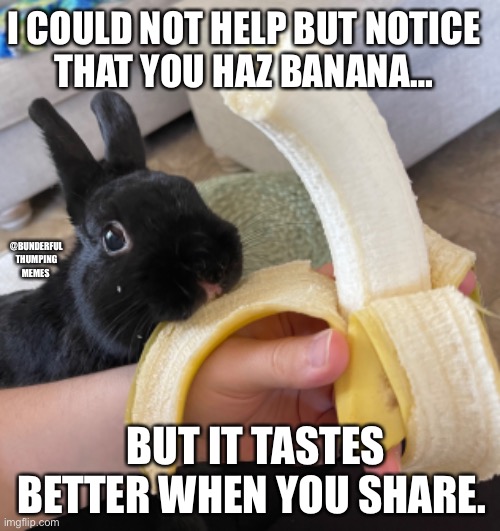 bunny banana | I COULD NOT HELP BUT NOTICE
THAT YOU HAZ BANANA…; @BUNDERFUL THUMPING MEMES; BUT IT TASTES BETTER WHEN YOU SHARE. | image tagged in banana,bunny,cute,banana bunny memes,rabbit memes,bunny memes | made w/ Imgflip meme maker