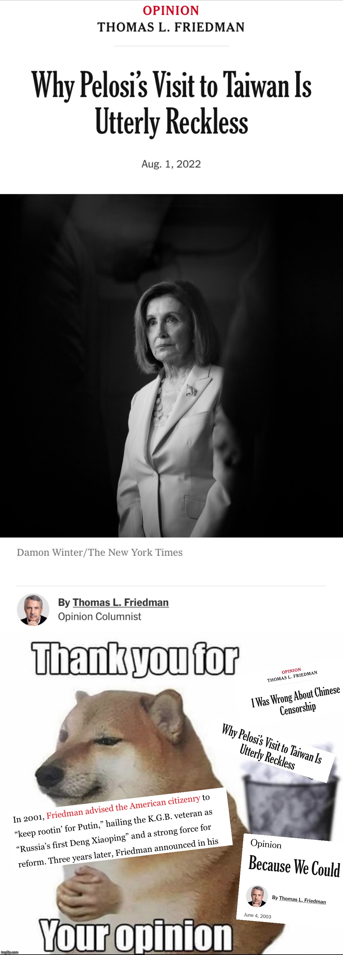 Troll of the Day: Thomas Friedman | image tagged in tomas friedman nancy pelosi taiwan trip,thank you for your opinion | made w/ Imgflip meme maker