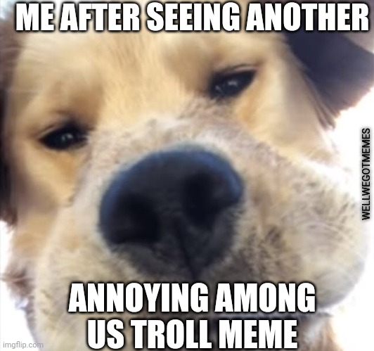 bruh | ME AFTER SEEING ANOTHER; WELLWEGOTMEMES; ANNOYING AMONG US TROLL MEME | image tagged in doggo bruh,rip,oof,among us,annoying,troll | made w/ Imgflip meme maker