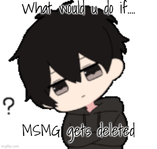 Shadow:What? | What would u do if.... MSMG gets deleted | image tagged in shadow what | made w/ Imgflip meme maker