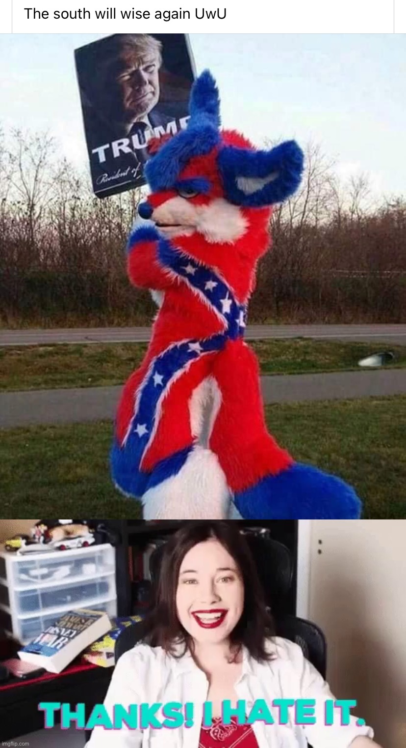 "Liberalism is a mental disorder" say folks who dress like this | image tagged in the south will rise again uwu,thanks i hate it,conservatives,trump supporter,furry,confederate | made w/ Imgflip meme maker