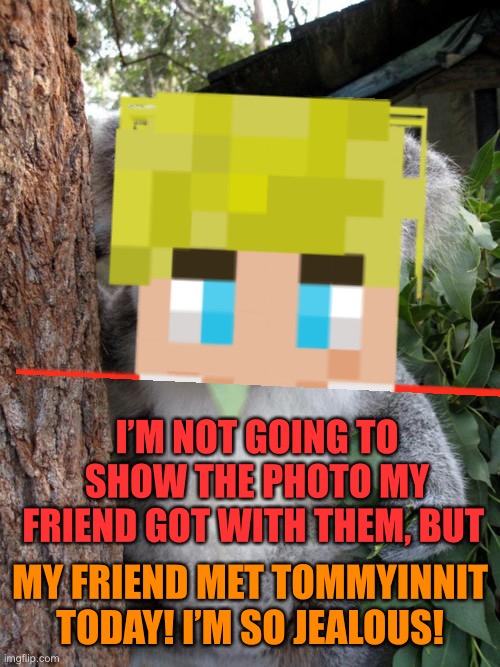 I was at work and my friend texted me. Absolutely mad | I’M NOT GOING TO SHOW THE PHOTO MY FRIEND GOT WITH THEM, BUT; MY FRIEND MET TOMMYINNIT TODAY! I’M SO JEALOUS! | image tagged in memes,surprised koala,tommyinnit,dream smp | made w/ Imgflip meme maker