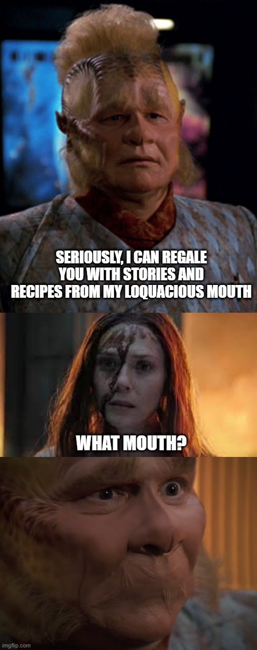 Shut It Neelix |  SERIOUSLY, I CAN REGALE YOU WITH STORIES AND RECIPES FROM MY LOQUACIOUS MOUTH; WHAT MOUTH? | image tagged in neelix,neelix with no mouth | made w/ Imgflip meme maker