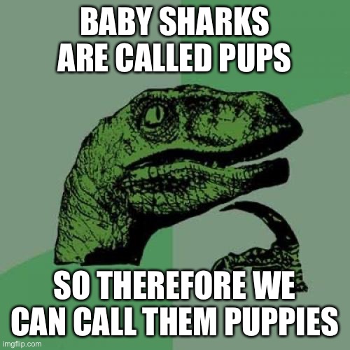 I like shark puppies | BABY SHARKS ARE CALLED PUPS; SO THEREFORE WE CAN CALL THEM PUPPIES | image tagged in memes,philosoraptor,shark,wait a minute | made w/ Imgflip meme maker
