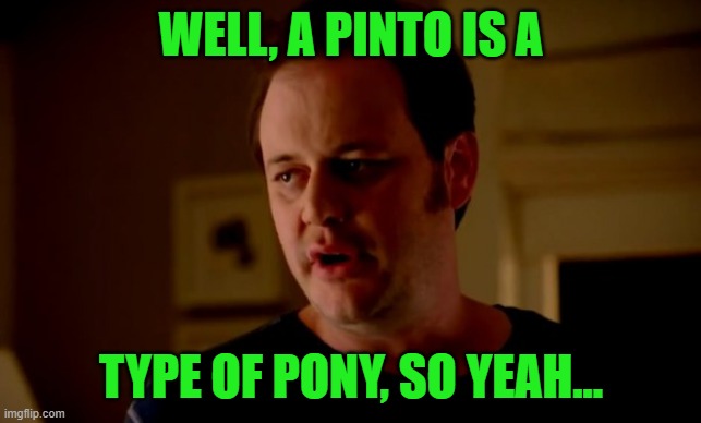 Jake from state farm | WELL, A PINTO IS A TYPE OF PONY, SO YEAH... | image tagged in jake from state farm | made w/ Imgflip meme maker