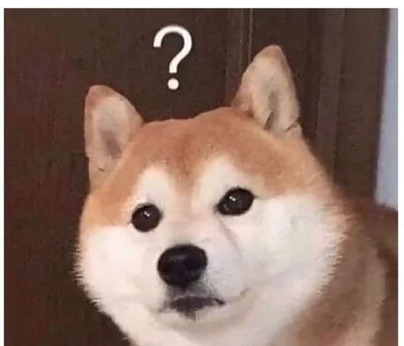 Doge question Blank Meme Template