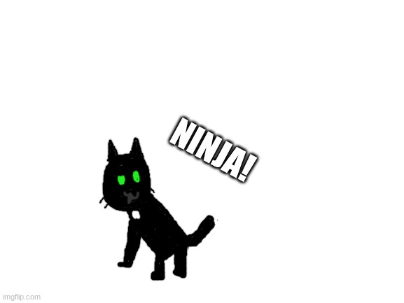 fanart for moss's cat ninja! |  NINJA! | image tagged in blank white template,ninja,memes,funny,cute,moss | made w/ Imgflip meme maker