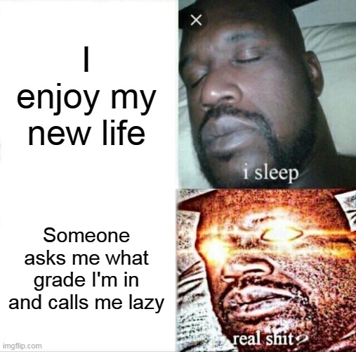Sleeping Shaq | I enjoy my new life; Someone asks me what grade I'm in and calls me lazy | image tagged in memes,sleeping shaq | made w/ Imgflip meme maker