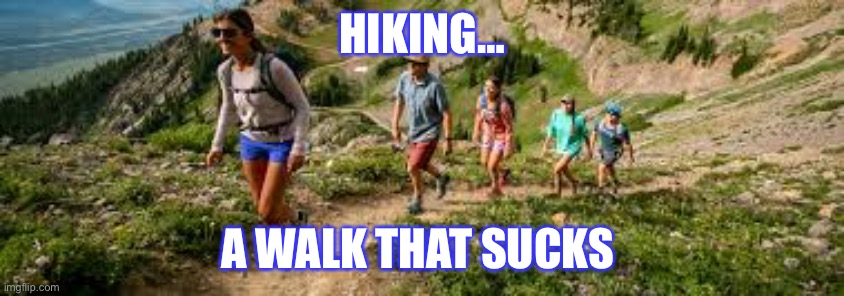 Hiking definition | HIKING…; A WALK THAT SUCKS | image tagged in hiking,walking | made w/ Imgflip meme maker