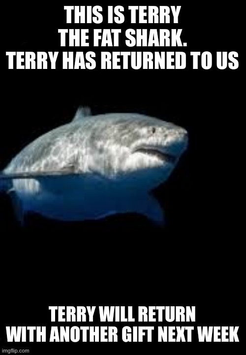 Terry the fat shark template | THIS IS TERRY THE FAT SHARK.
TERRY HAS RETURNED TO US; TERRY WILL RETURN WITH ANOTHER GIFT NEXT WEEK | image tagged in terry the fat shark template | made w/ Imgflip meme maker