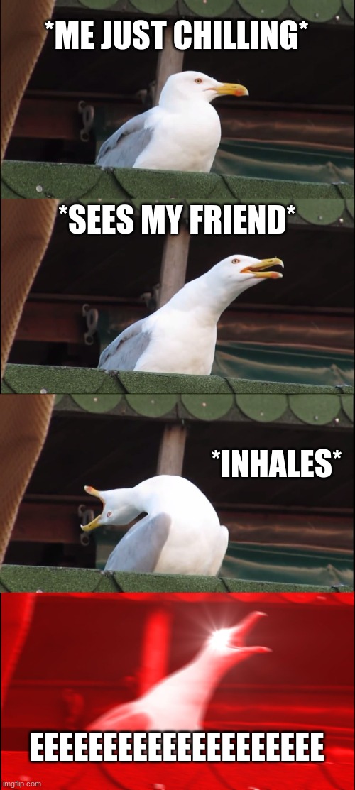 Inhaling Seagull Meme | *ME JUST CHILLING*; *SEES MY FRIEND*; *INHALES*; EEEEEEEEEEEEEEEEEEEE | image tagged in memes,inhaling seagull,reeeeeeeeeeeeeeeeeeeeee | made w/ Imgflip meme maker