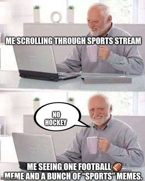 By “sports” I am talking about soccer, sumo, wwe, nascar etc. This a joke, so please no one start attacking my existence | ME SCROLLING THROUGH SPORTS STREAM; NO HOCKEY; ME SEEING ONE FOOTBALL 🏈 MEME AND A BUNCH OF “SPORTS” MEMES. | image tagged in memes,hide the pain harold | made w/ Imgflip meme maker