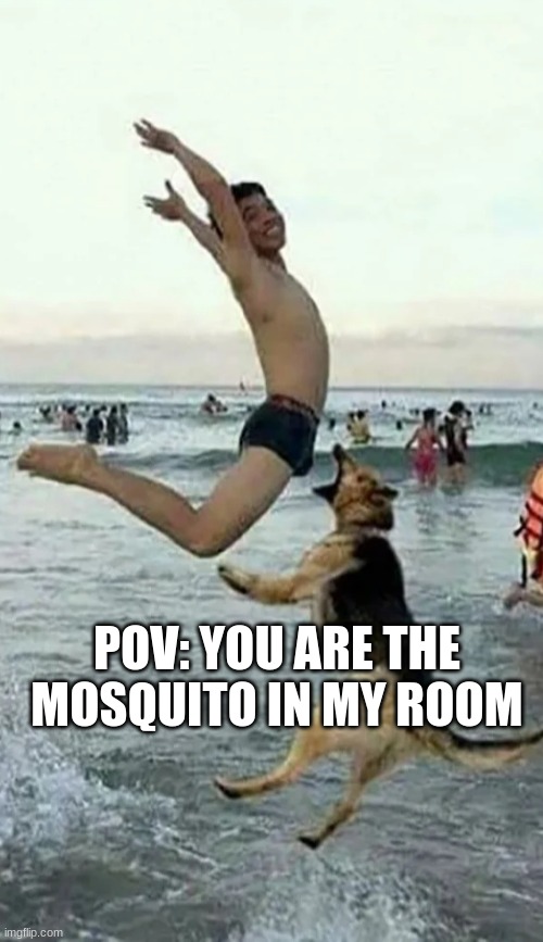 Mo | POV: YOU ARE THE  MOSQUITO IN MY ROOM | image tagged in dog bite dick | made w/ Imgflip meme maker