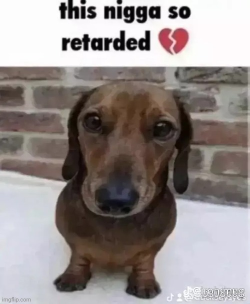 Retarded | image tagged in retarded | made w/ Imgflip meme maker