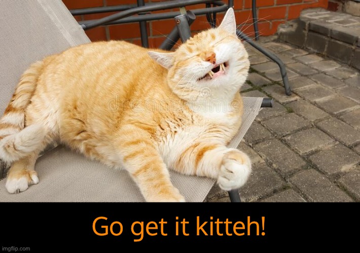 Go get it kitteh! | made w/ Imgflip meme maker