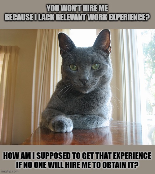This #lolcat wonders how anyone is supposed to obtain relative work experience | YOU WON'T HIRE ME
BECAUSE I LACK RELEVANT WORK EXPERIENCE? HOW AM I SUPPOSED TO GET THAT EXPERIENCE
IF NO ONE WILL HIRE ME TO OBTAIN IT? | image tagged in lolcat,labor,work,job interview,think about it | made w/ Imgflip meme maker