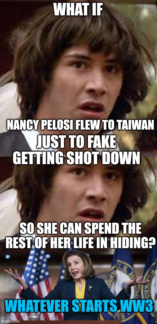 SOUNDS LIKE TYPICAL POLITICS THESE DAYS | WHAT IF; NANCY PELOSI FLEW TO TAIWAN; JUST TO FAKE GETTING SHOT DOWN; SO SHE CAN SPEND THE REST OF HER LIFE IN HIDING? WHATEVER STARTS WW3 | image tagged in memes,conspiracy keanu,politics,nancy pelosi,taiwan | made w/ Imgflip meme maker