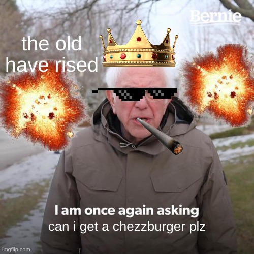Bernie I Am Once Again Asking For Your Support Meme | the old have rised; can i get a chezzburger plz | image tagged in memes,bernie i am once again asking for your support | made w/ Imgflip meme maker