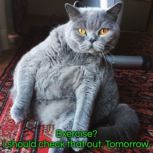 Exercise?
I should check that out. Tomorrow. | made w/ Imgflip meme maker