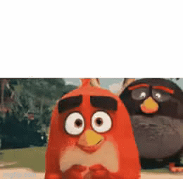 Angry Birds Meme GIFs
