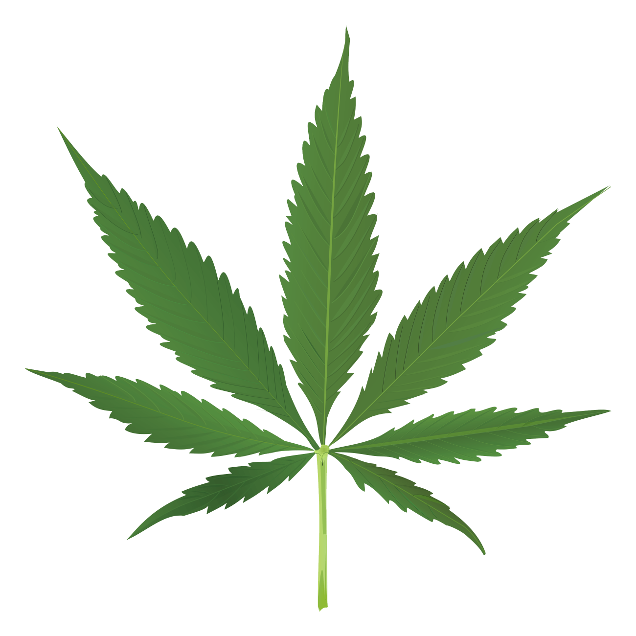 Marijuana Leaf Blank Meme Template