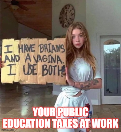 Edumacation | YOUR PUBLIC EDUCATION TAXES AT WORK | image tagged in public schools,liberals,celebrities | made w/ Imgflip meme maker