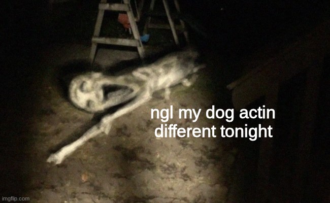 adding goofy ahh captions to trevor henderson images part 2 | ngl my dog actin different tonight | made w/ Imgflip meme maker