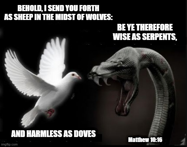 One Race, Two Natures | BEHOLD, I SEND YOU FORTH AS SHEEP IN THE MIDST OF WOLVES:; BE YE THEREFORE WISE AS SERPENTS, AND HARMLESS AS DOVES; Matthew 10:16 | image tagged in sheep among wolves,harmless as doves,wise as serpents | made w/ Imgflip meme maker
