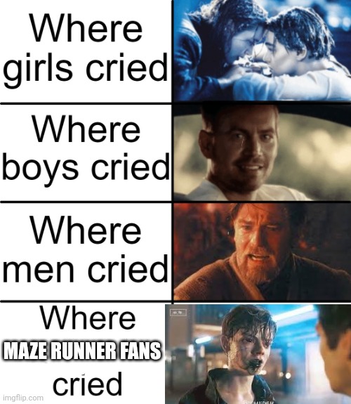 Maze Runner so sad. | MAZE RUNNER FANS | image tagged in where girls cried,maze runner | made w/ Imgflip meme maker