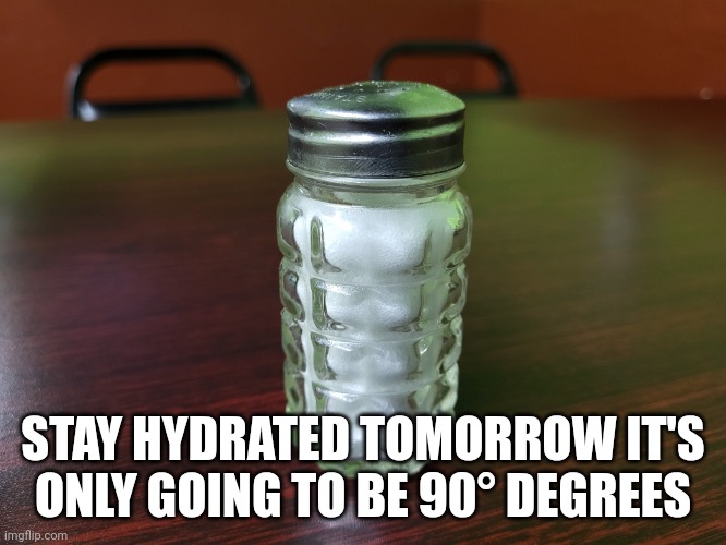 Salt Shaker | STAY HYDRATED TOMORROW IT'S ONLY GOING TO BE 90° DEGREES | image tagged in salt shaker | made w/ Imgflip meme maker