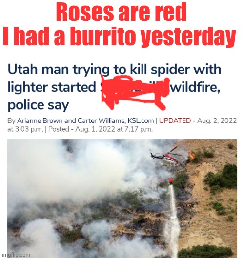 Zero IQ | Roses are red
I had a burrito yesterday | image tagged in stupid | made w/ Imgflip meme maker