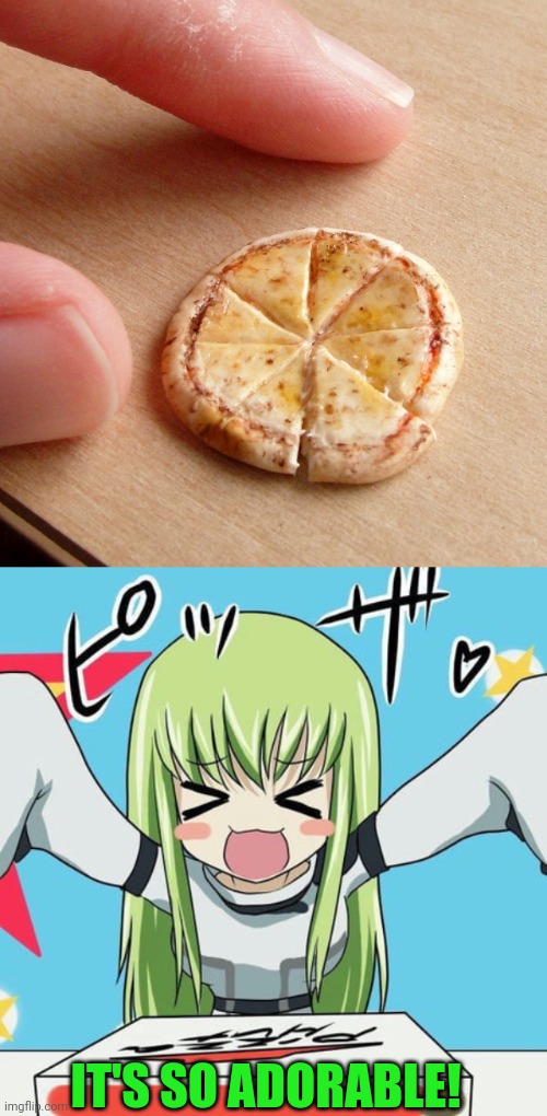 TINY PIZZA |  IT'S SO ADORABLE! | image tagged in pizza,pizza hut,pizza time,anime girl | made w/ Imgflip meme maker