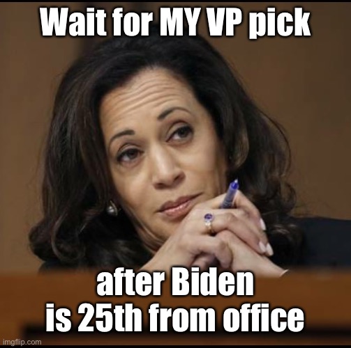 Kamala Harris  | Wait for MY VP pick after Biden is 25th from office | image tagged in kamala harris | made w/ Imgflip meme maker