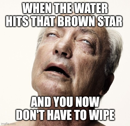 Poop | WHEN THE WATER HITS THAT BROWN STAR; AND YOU NOW DON'T HAVE TO WIPE | image tagged in poop | made w/ Imgflip meme maker