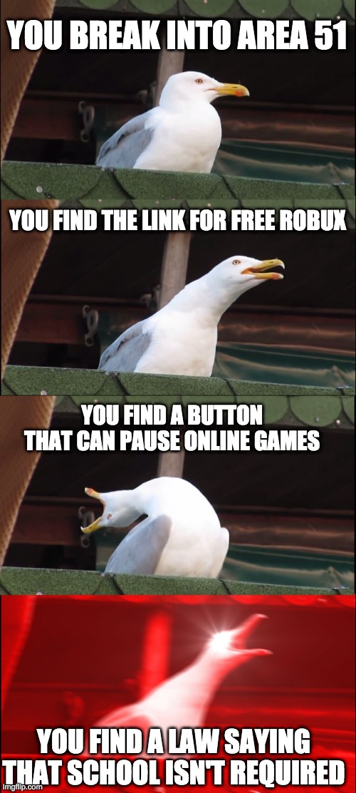 birb |  YOU BREAK INTO AREA 51; YOU FIND THE LINK FOR FREE ROBUX; YOU FIND A BUTTON THAT CAN PAUSE ONLINE GAMES; YOU FIND A LAW SAYING THAT SCHOOL ISN'T REQUIRED | image tagged in memes,inhaling seagull,i hate school,area 51 | made w/ Imgflip meme maker