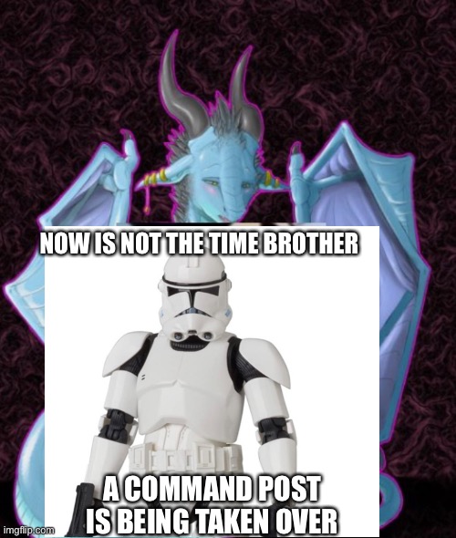 NOW IS NOT THE TIME BROTHER; A COMMAND POST IS BEING TAKEN OVER | image tagged in clone trooper | made w/ Imgflip meme maker