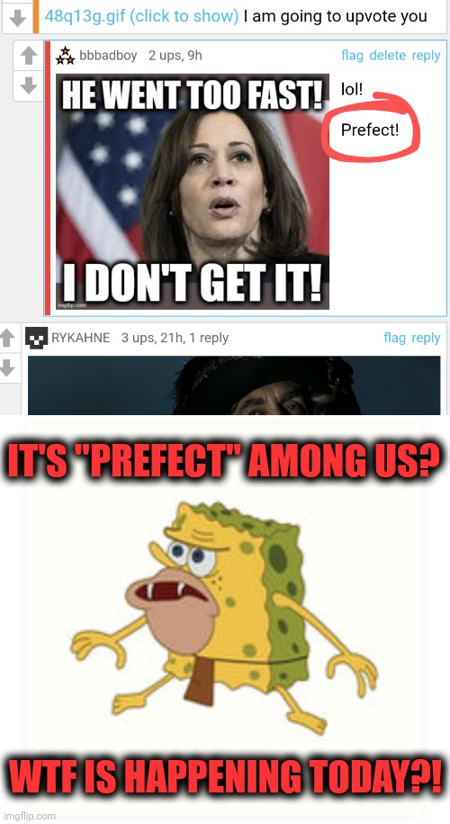 IT'S "PREFECT" AMONG US? WTF IS HAPPENING TODAY?! | image tagged in spongar | made w/ Imgflip meme maker