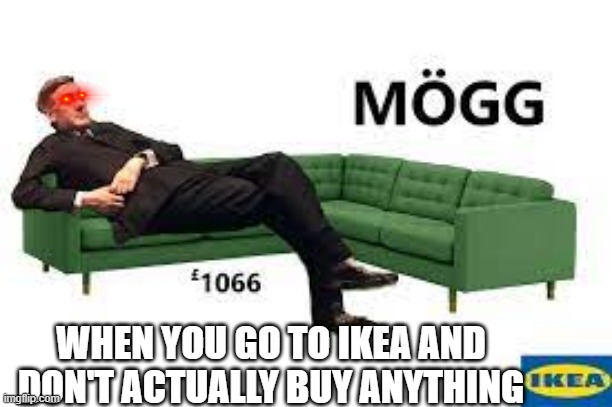 ikea | WHEN YOU GO TO IKEA AND DON'T ACTUALLY BUY ANYTHING | image tagged in ikea | made w/ Imgflip meme maker