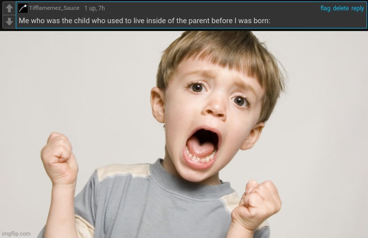 A child inside | image tagged in screaming child,comment section,comments,comment,memes,child | made w/ Imgflip meme maker