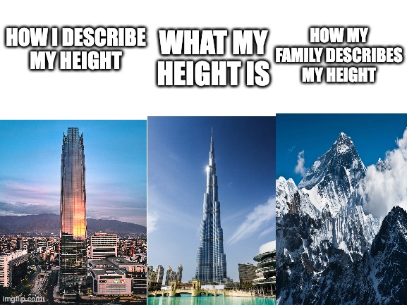 Height | HOW MY FAMILY DESCRIBES MY HEIGHT; HOW I DESCRIBE MY HEIGHT; WHAT MY HEIGHT IS | image tagged in blank white template | made w/ Imgflip meme maker