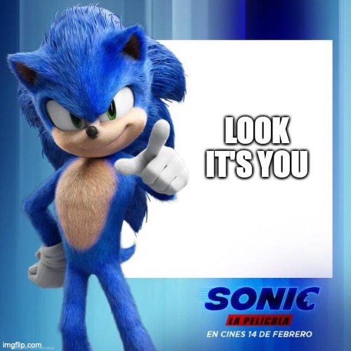 Movie Sonic Says | LOOK IT'S YOU | image tagged in movie sonic says | made w/ Imgflip meme maker