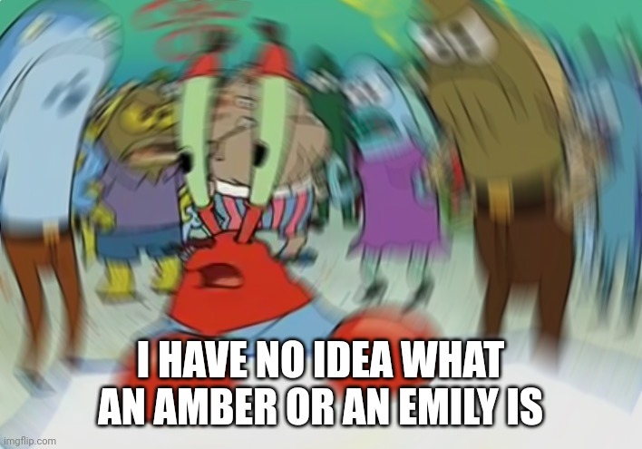 Mr Krabs Blur Meme Meme | I HAVE NO IDEA WHAT AN AMBER OR AN EMILY IS | image tagged in memes,mr krabs blur meme | made w/ Imgflip meme maker